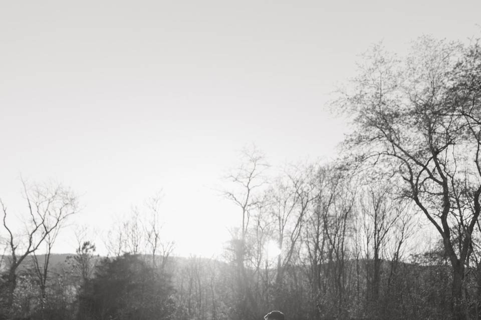 Field
