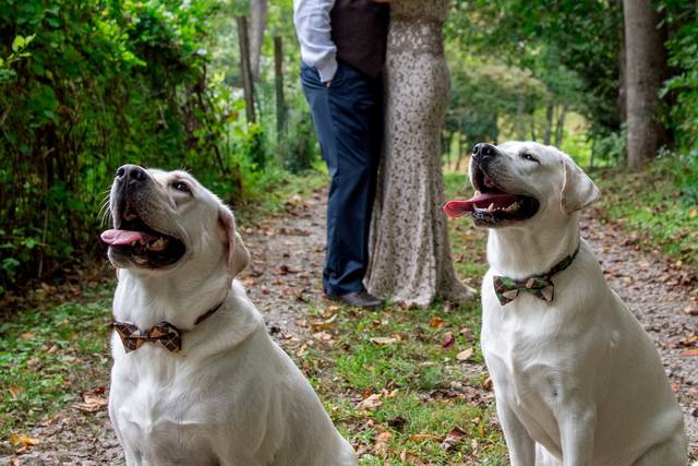 Couple's portrait