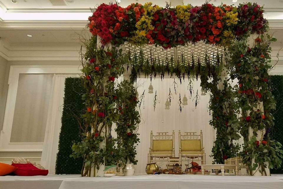 Modern Mandap/Boxwood