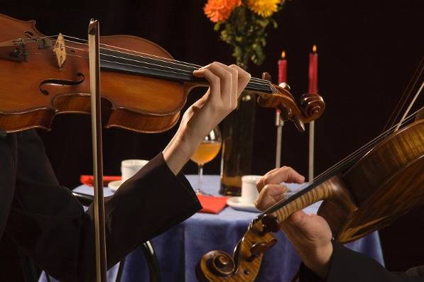 Violin, viola duet performing at intimate dinner