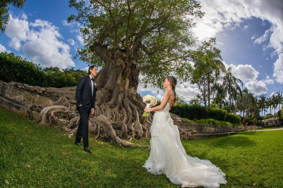 Bride & Groom Portraits