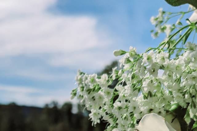 Outdoor Ceremony Space