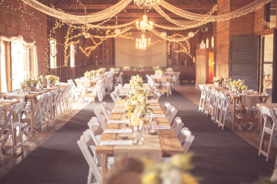 Rustic Star Photography