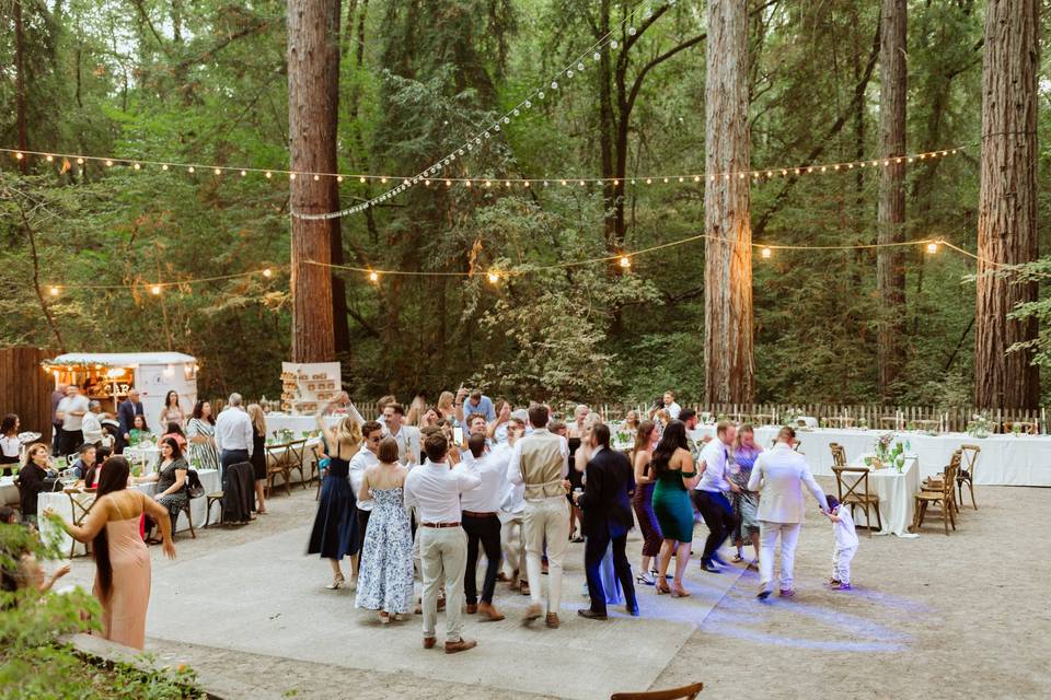 Dance FLoor