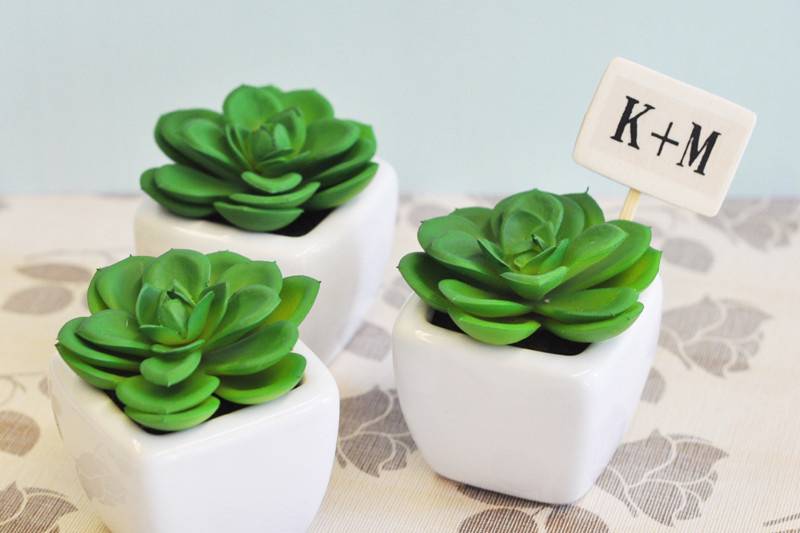 AnneMarie Wedding Favors