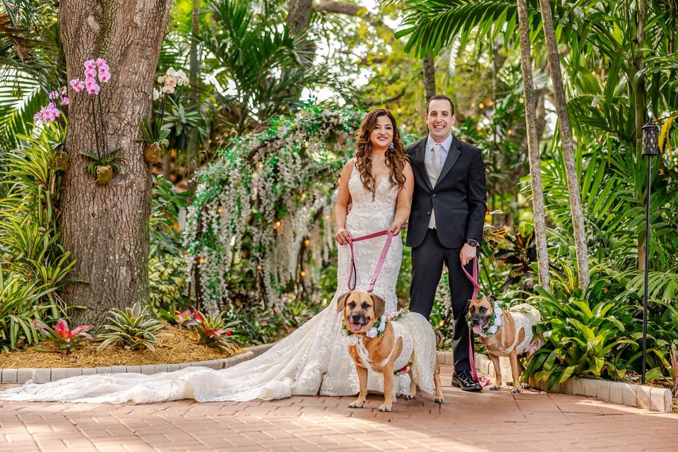 Wedding with dogs