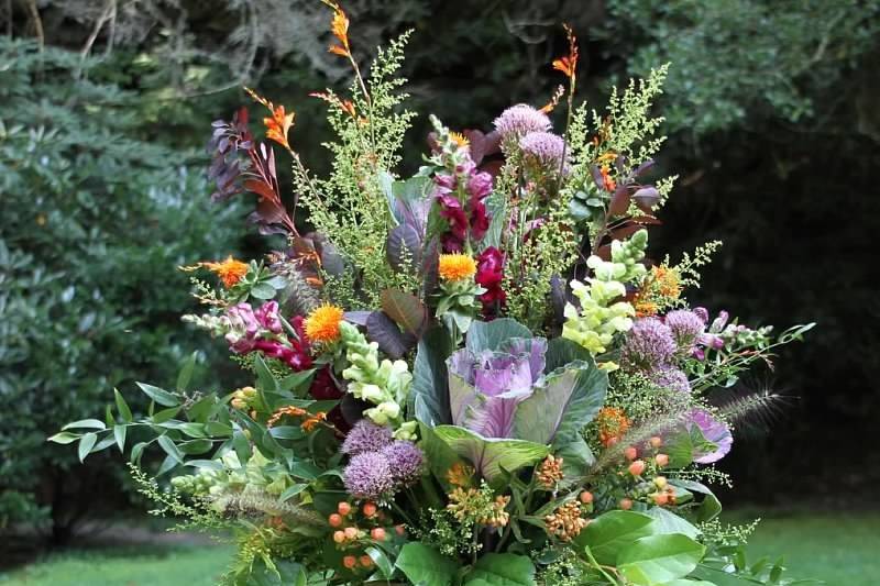 Shady Grove Flowers