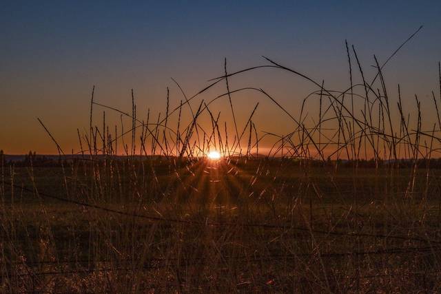 Sunset at the ranch