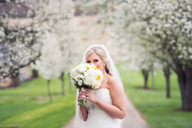 Haley Willingham Photography