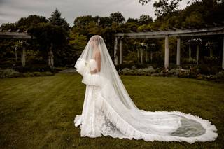 Willow Walk Photography