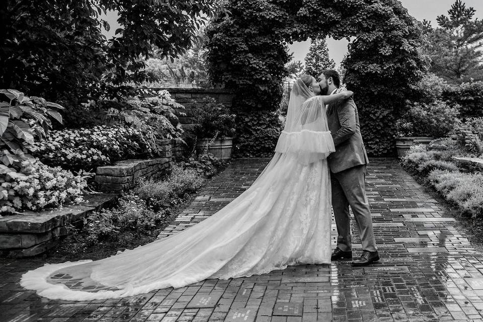 Willow Walk Photography