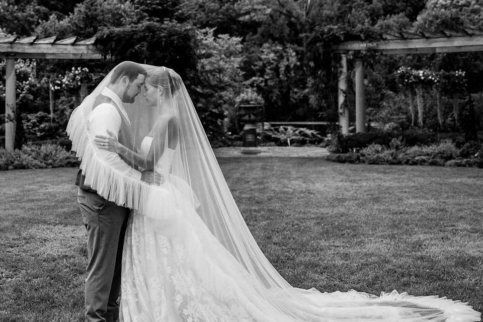 Willow Walk Photography