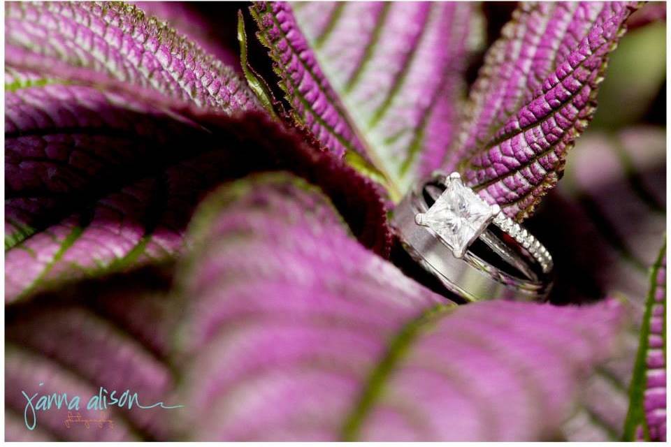 Janna Alison Photography, LLC