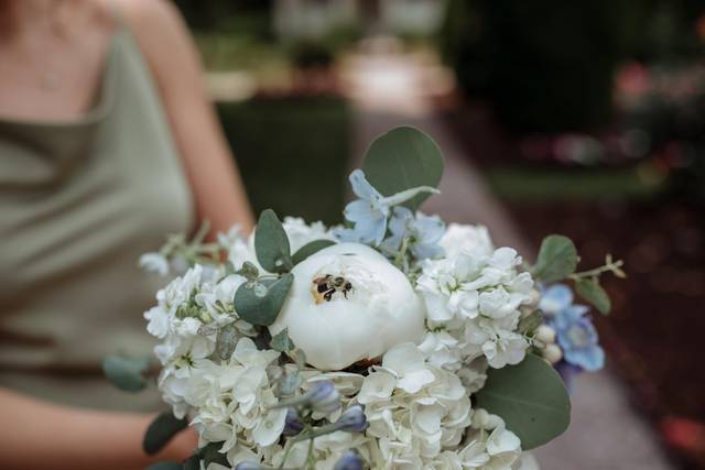 Photog: Amanda Allgood