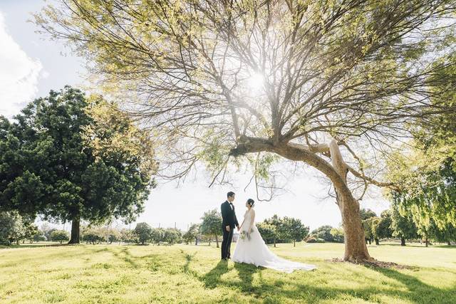 Wedding couple