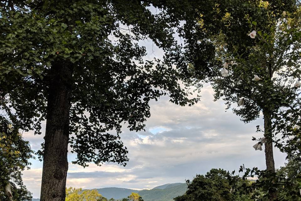 Front yard, looking at view