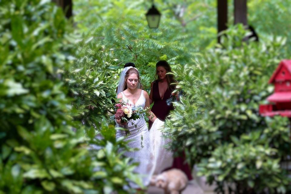 Walking through a path, Photo by Ryan Reedy