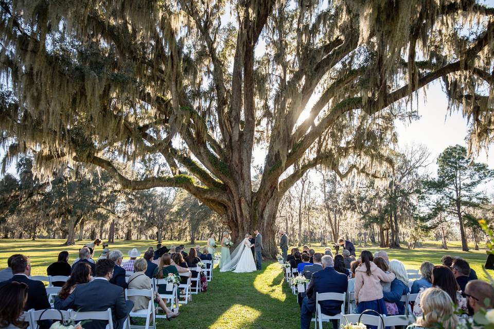 Oak Tree Ceremony