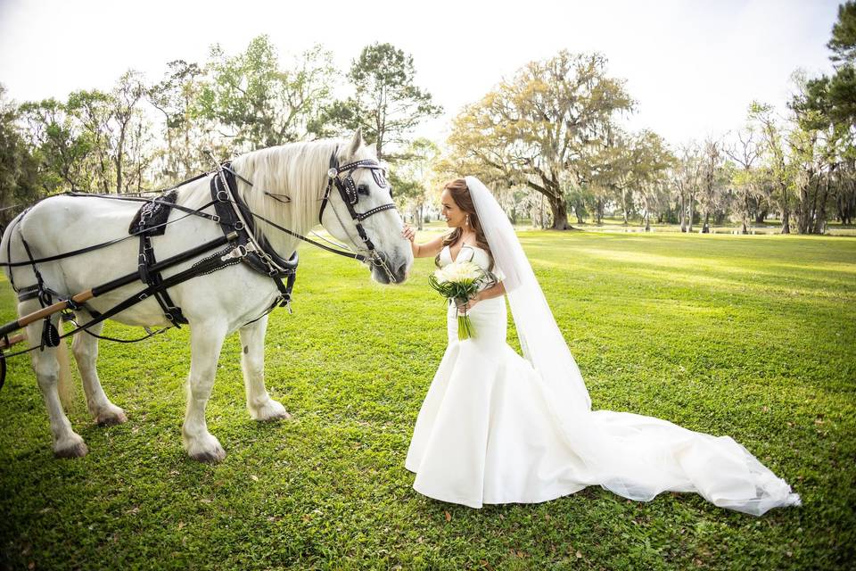 Horse and Bride