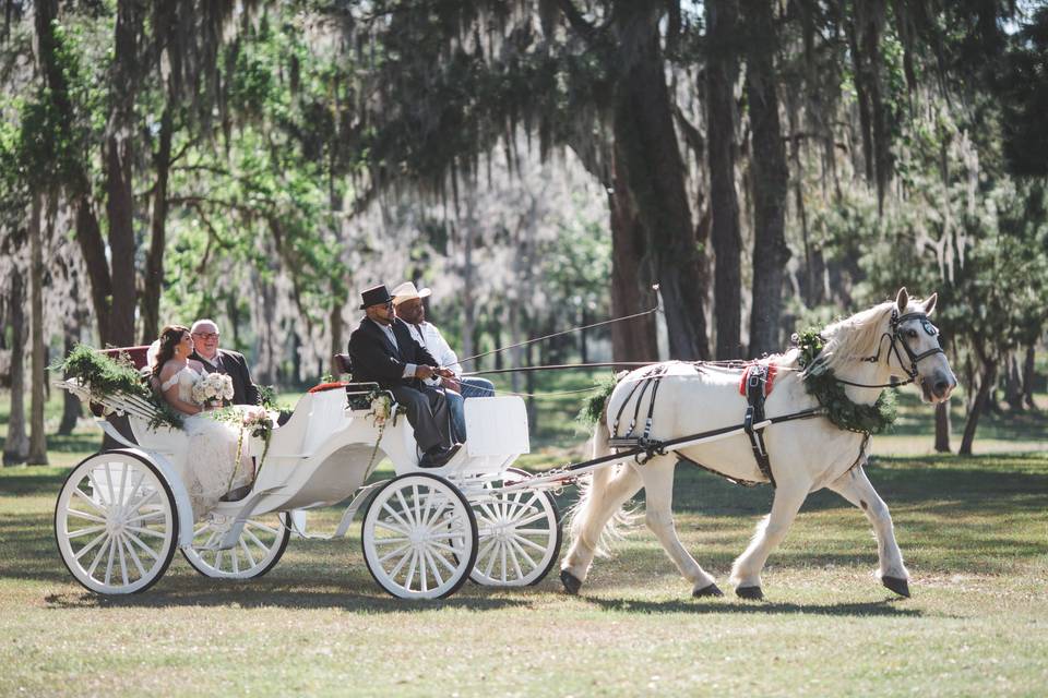 Horse and Carriage