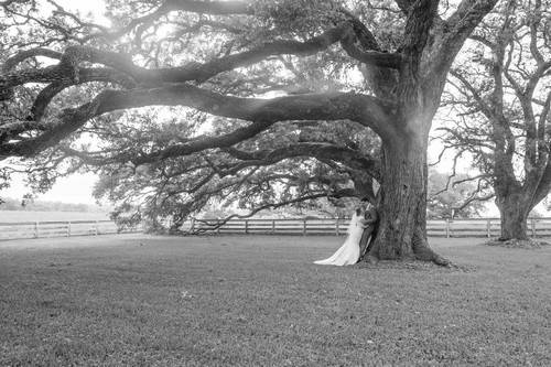 Kyndall Wood Photography