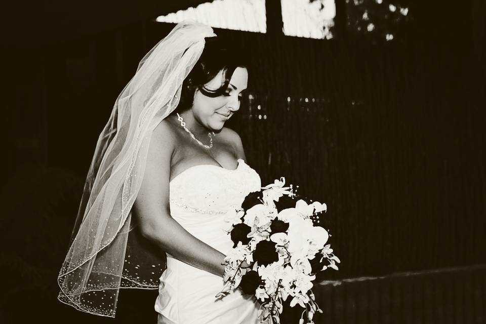 Mac Dore Photography