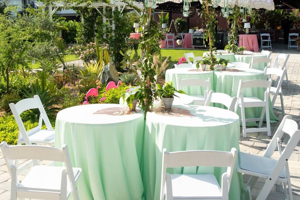 Reception Set-up