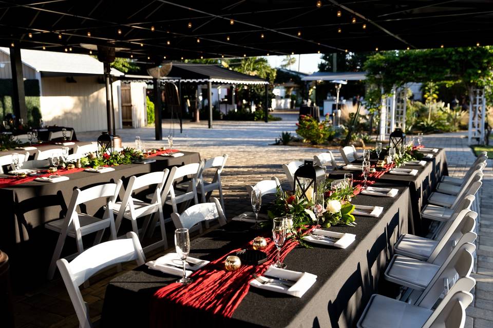 Reception Set-up