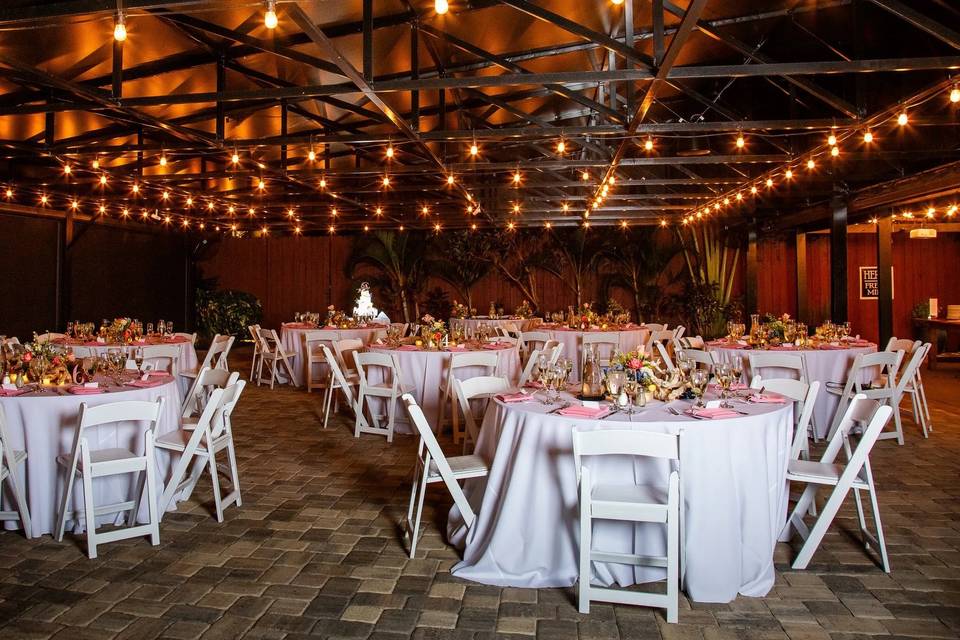 Reception Set-up