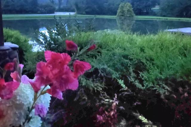 Scenic views