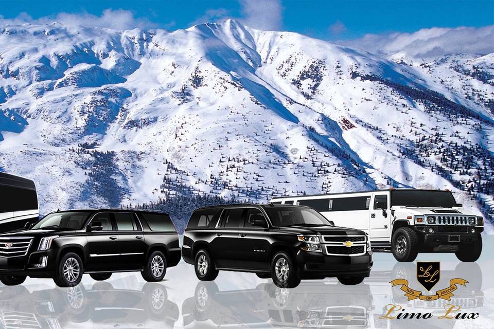 Mountain Express to Ski Resort