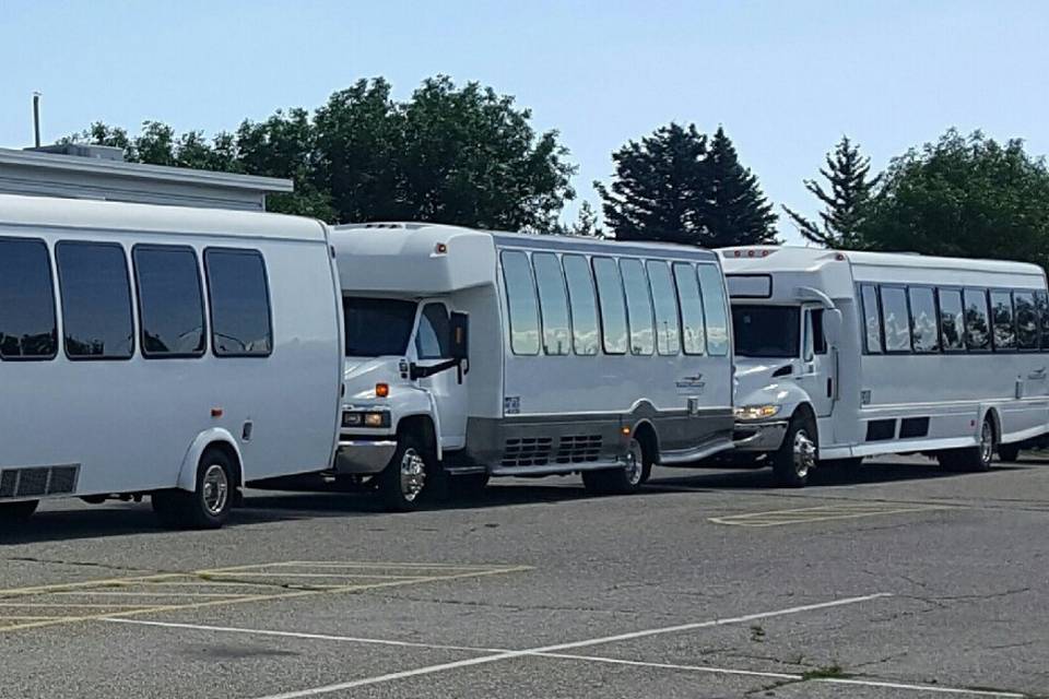Mini-coach fleet