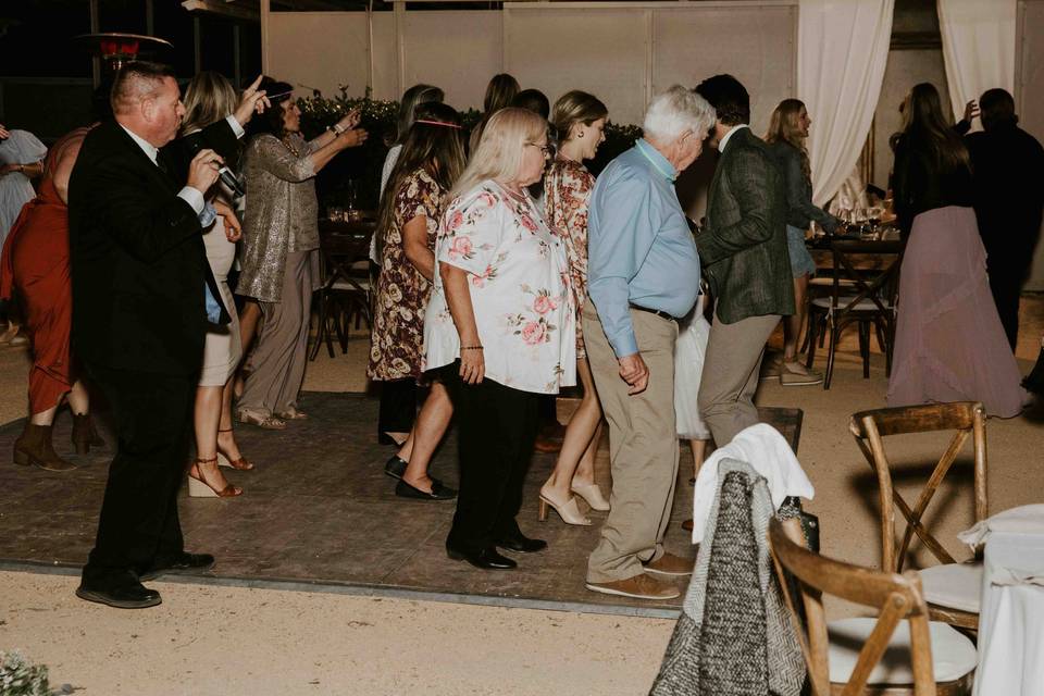 Wedding Line Dance with MC