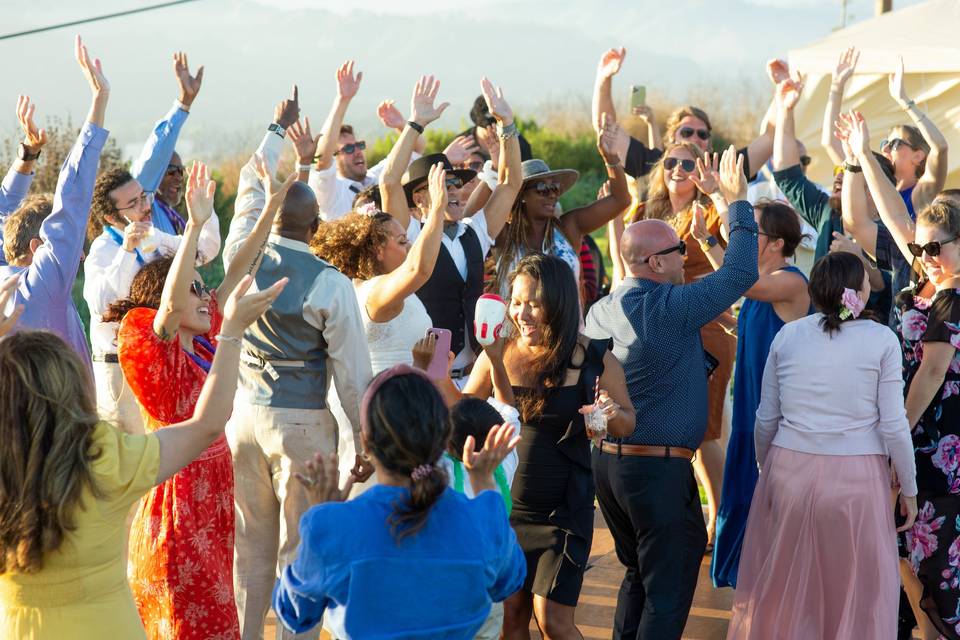 Wedding Party Introductions