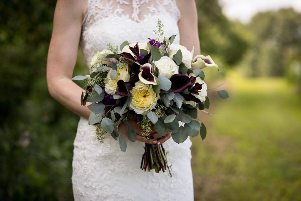 Purple Calla Lilies