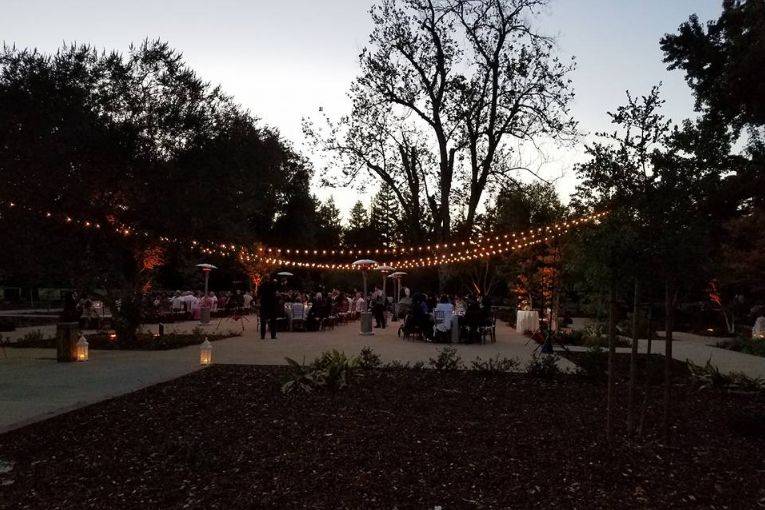 Wedding reception