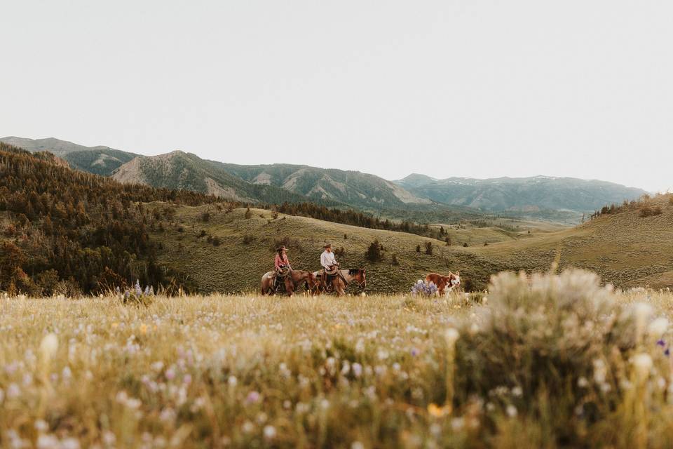 Wyoming engagement