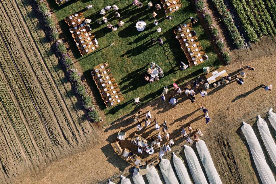 CBI Farm