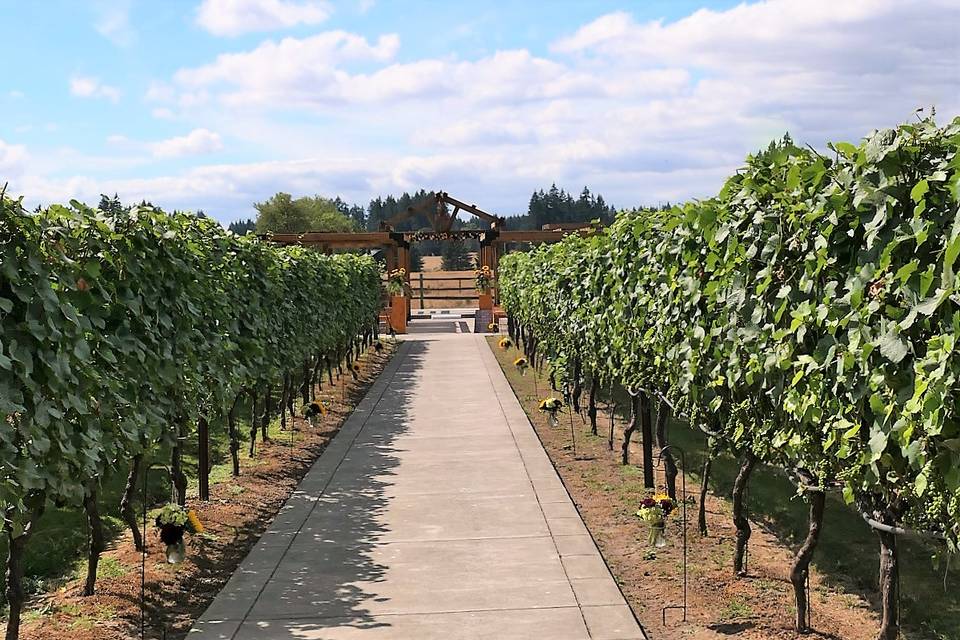 Ceremony aisle