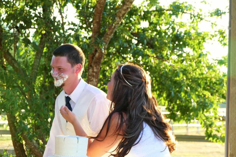 Cake Cutting