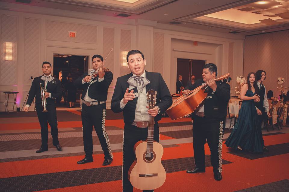 Musicians