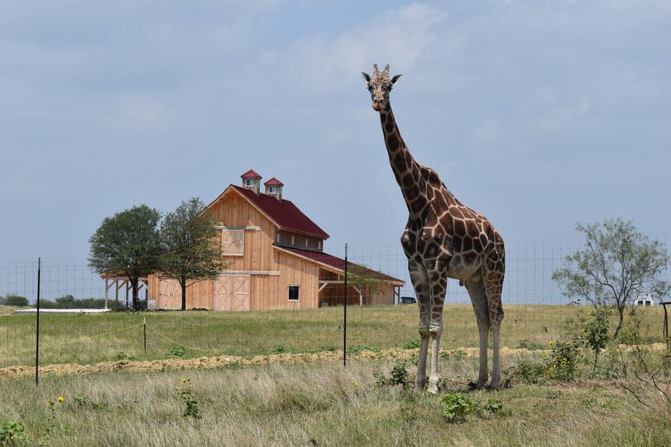 Blue Hills Ranch