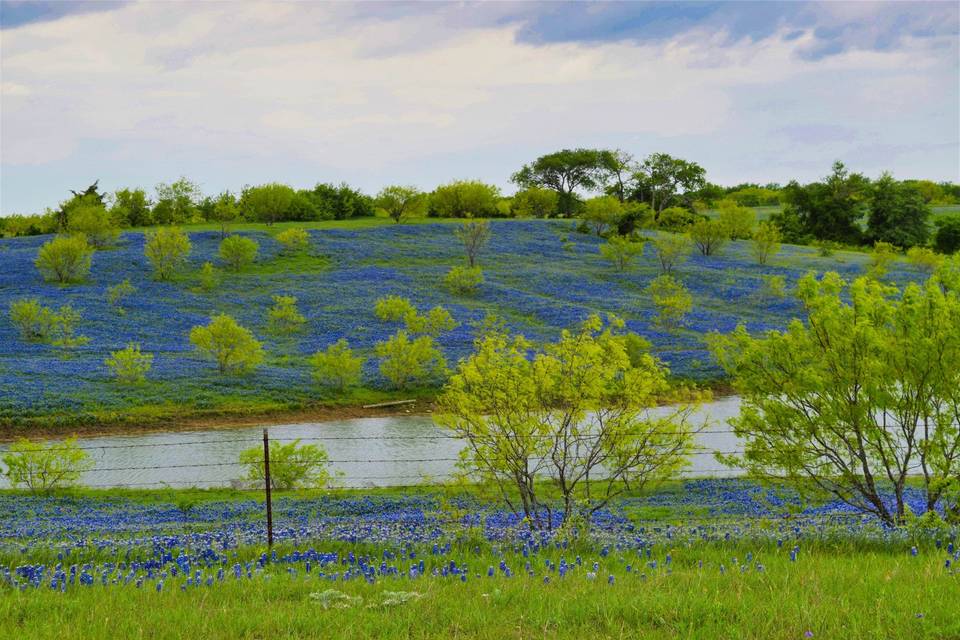 Blue Hills Ranch