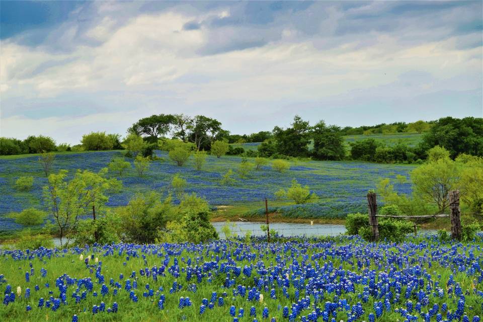 Blue Hills Ranch