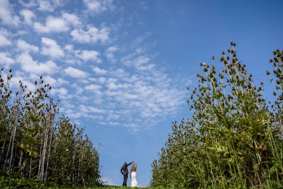 Bryan Ohio Wedding