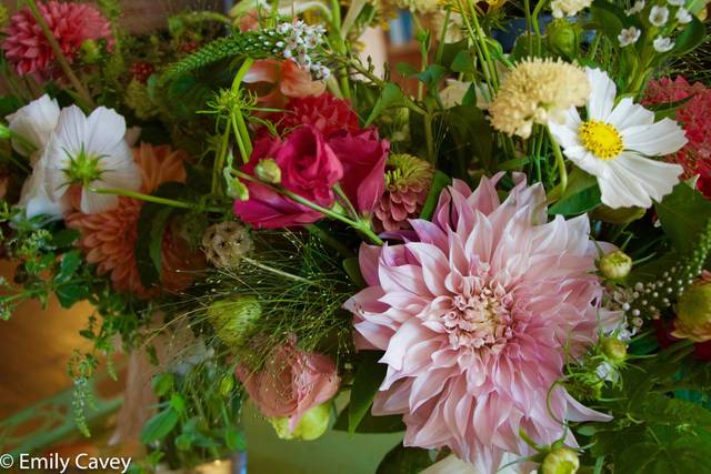 Flowers