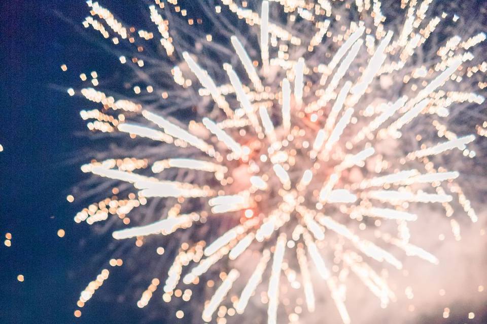 4th of July Wedding