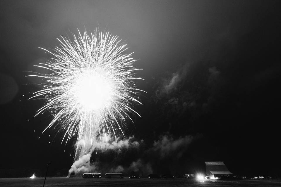 Black and white fireworks