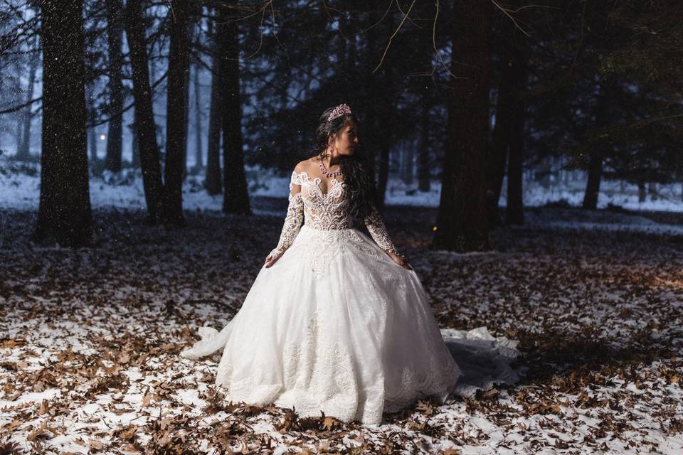 Snowy Bride