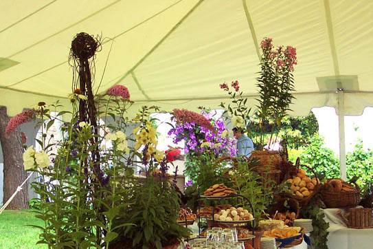 Outdoor food table setup